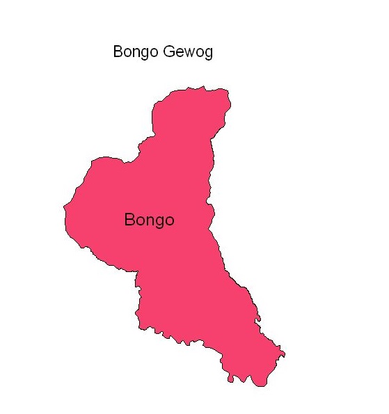 bongo